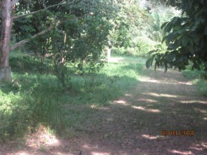 Cutting a riding path
