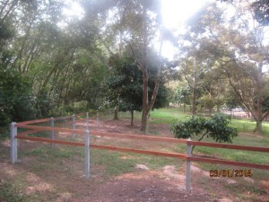 NE corner paddock