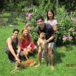 Family plus dogs
