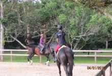 Riding Arena - Gelanggang