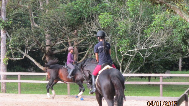 Riding Arena - Gelanggang