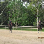 Thoroughbreds